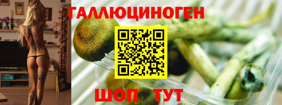 Галлюциногенные грибы Magic Shrooms Прохладный