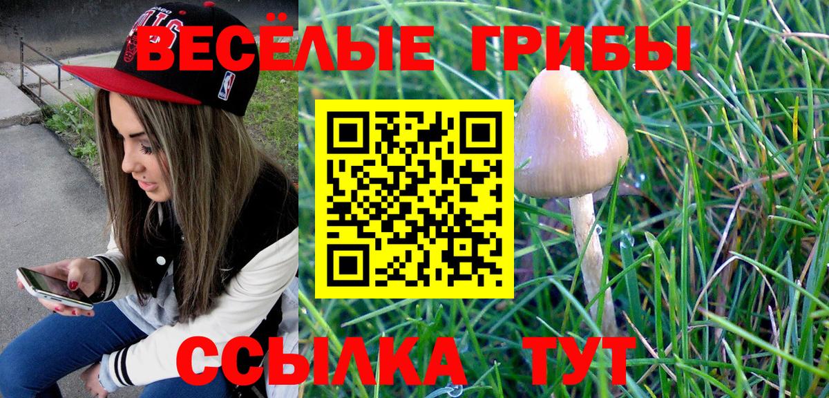Галлюциногенные грибы Cubensis  Вход с VPN  Псилоцибиновые грибы мухоморы  Прохладный 